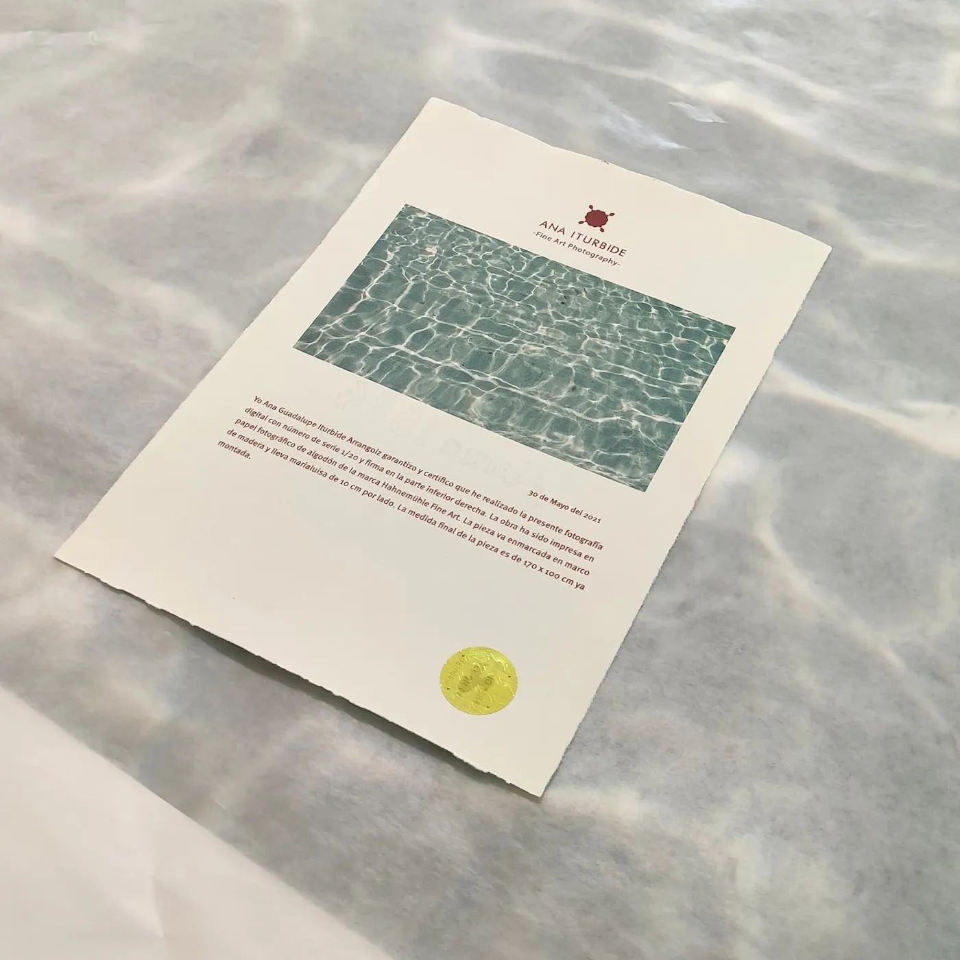 Certificado de autenticidad sobre papel de seguridad Hahnemühle con holograma serializado y borde deckle